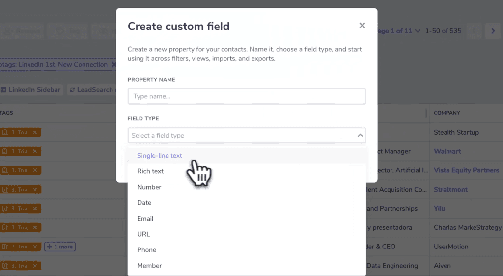 custom-fields-1024x562.png