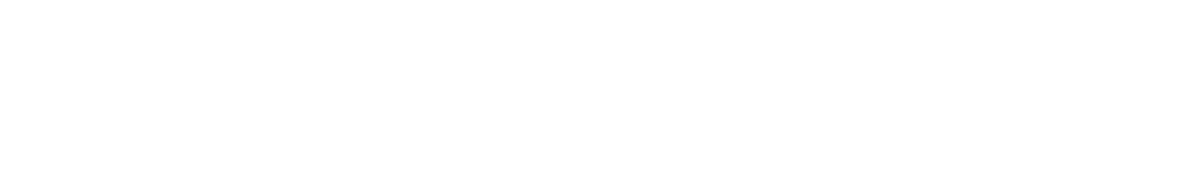 Salesbricks